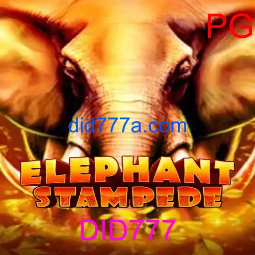 Como ganhar no Fortune Rabbit em DID777 com Saque via PIX 2026